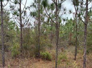6073 SW 55th Ave, Jasper, FL 32052