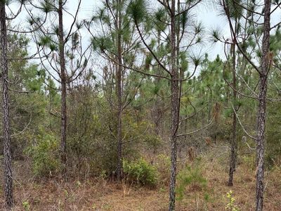 6073 SW 55th Ave, Jasper, FL, 32052