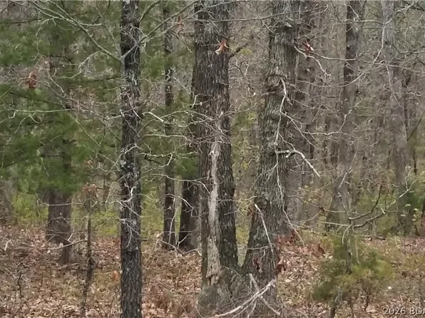 Mo State Hwy W, Barnett, MO 65011