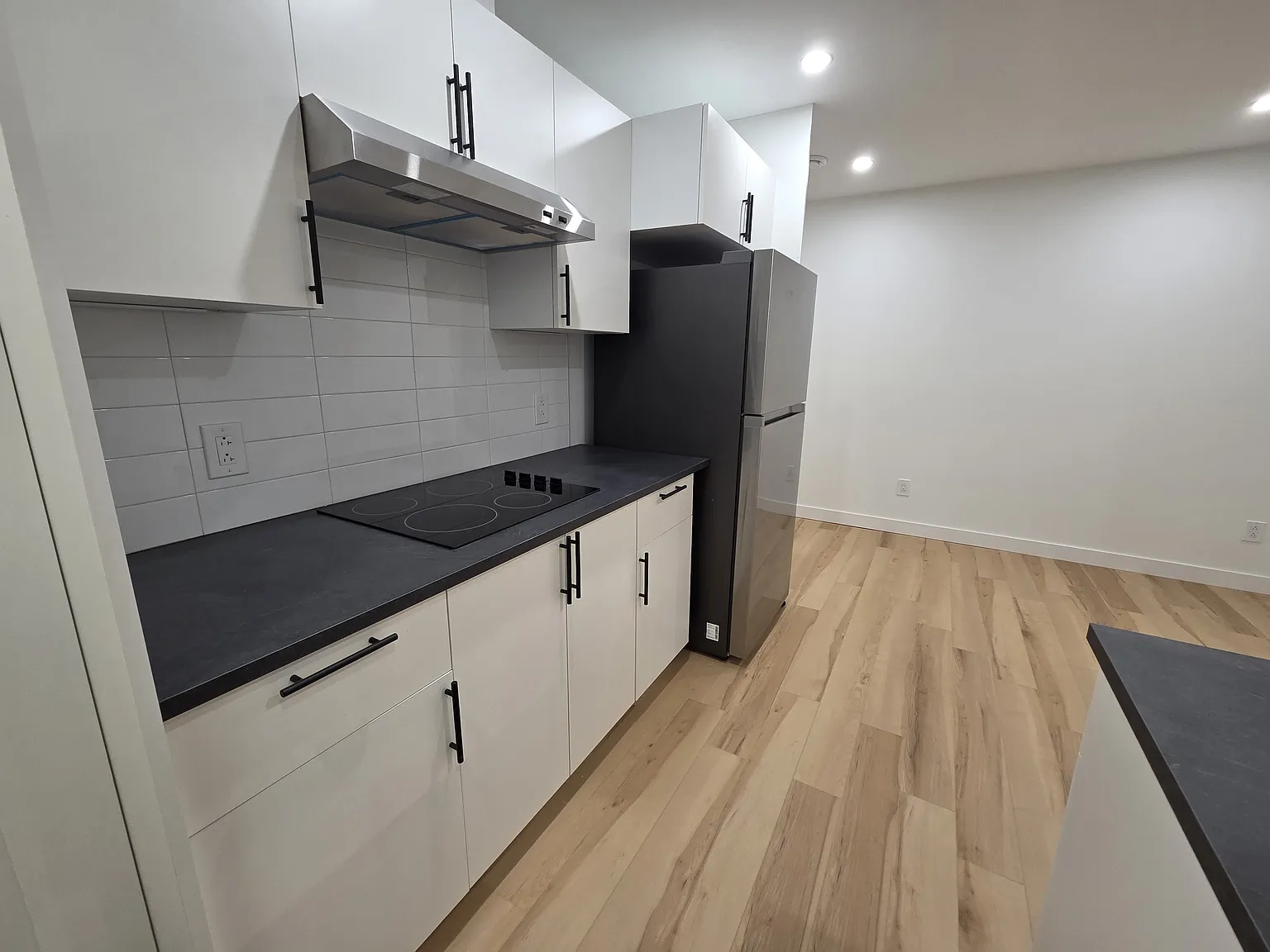 439 Aster Drive BSMT Suite — Photo 4