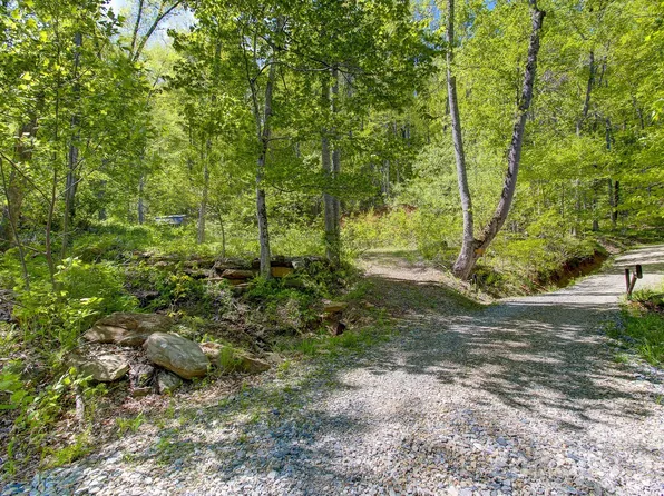 109 & 99999 Apgar Rd, Candler, NC 28715