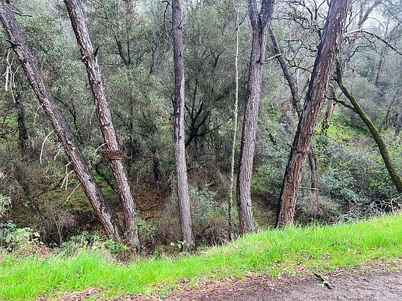 5th image of 12215 Mountain View Drive