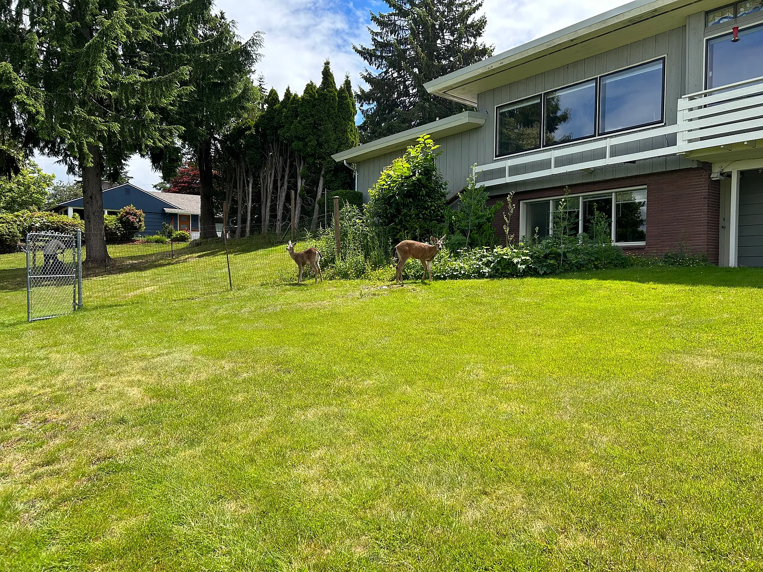 1240 Undine St — Photo 2