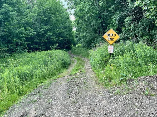 Hawkins Rd Lot 43, Maryland, NY 12116