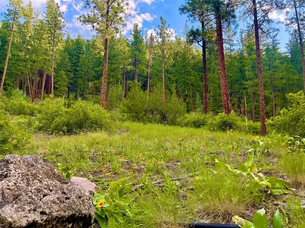 3 Railroad Ave, Alberton, MT 59820
