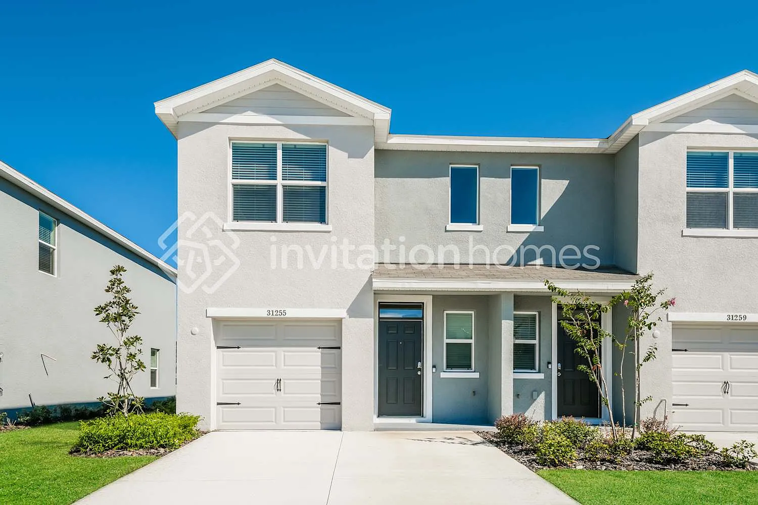 31255 Monterey Pine St Wesley Chapel, FL 33545 — Photo 1