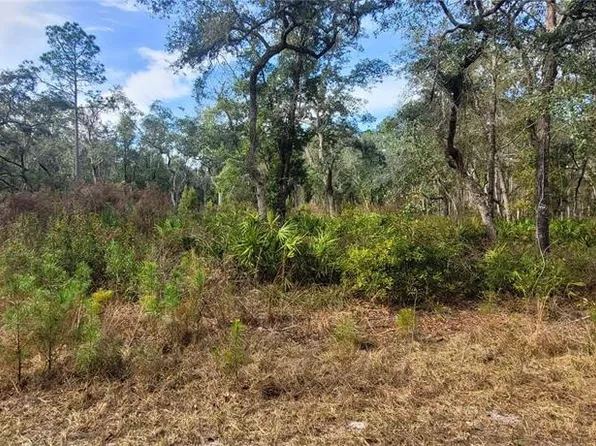 SE 68th Ter Lot 31, White Springs, FL 32096