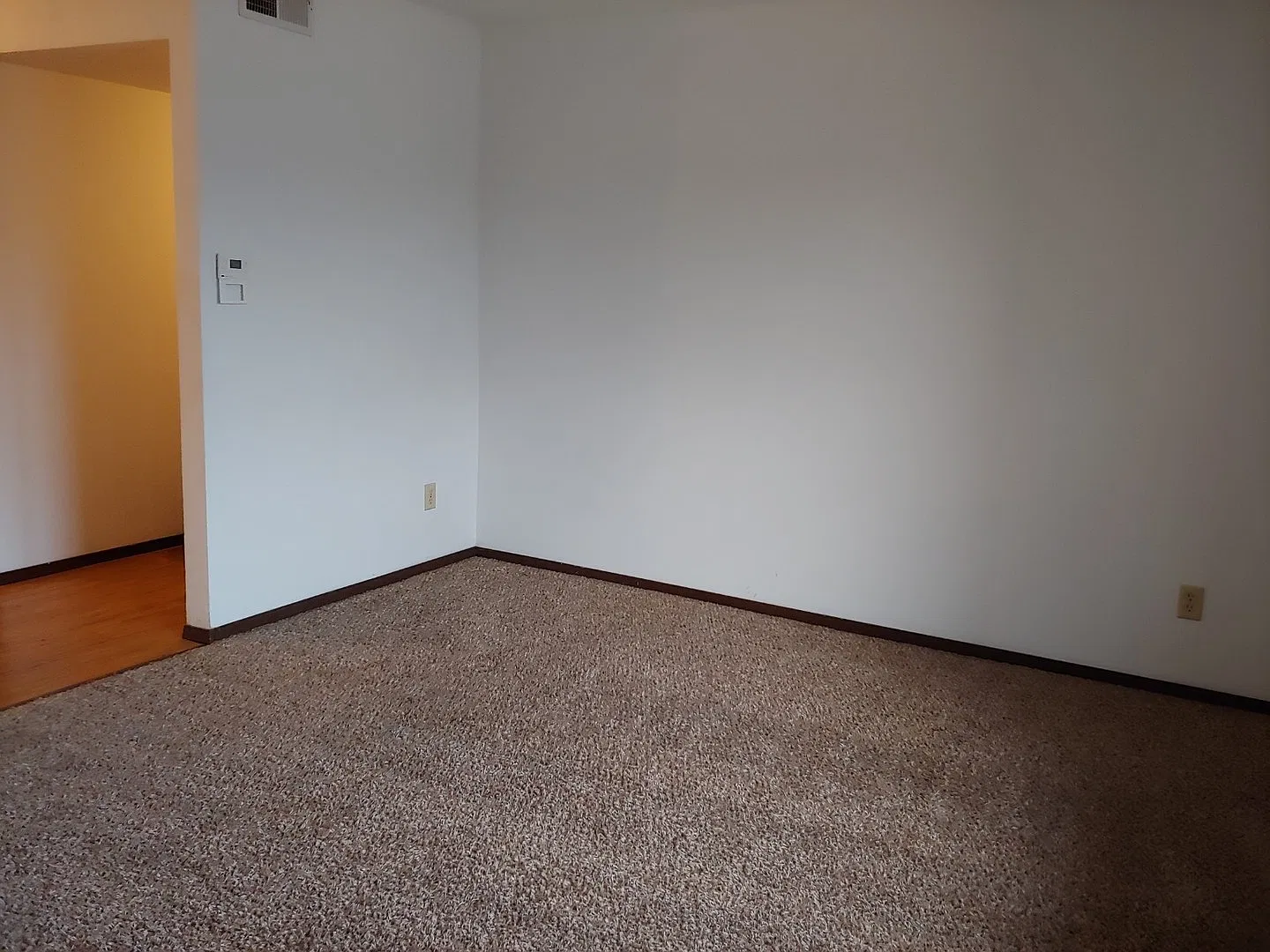 Boxwood 526 — Photo 2