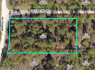 LOT 1 Yellow Tail Ave, Brooksville, FL 34614