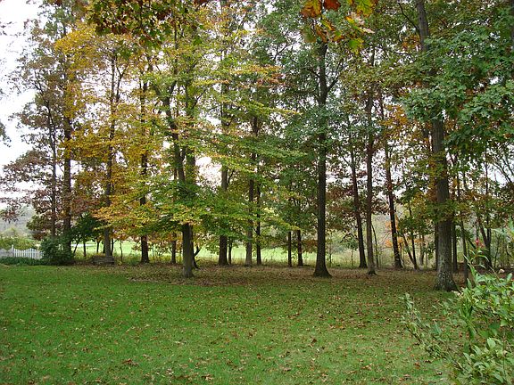 yard backs to golf cours