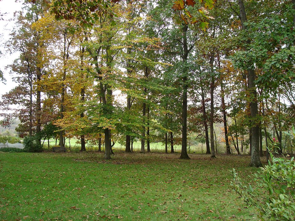 yard backs to golf cours