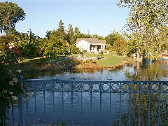 Ponf view with fountains