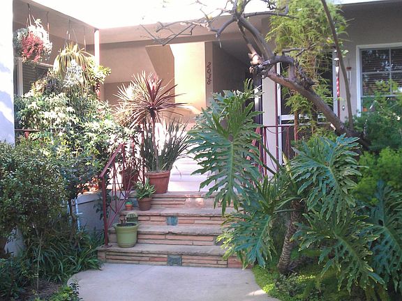 courtyard steps to your apt and to back carport area
