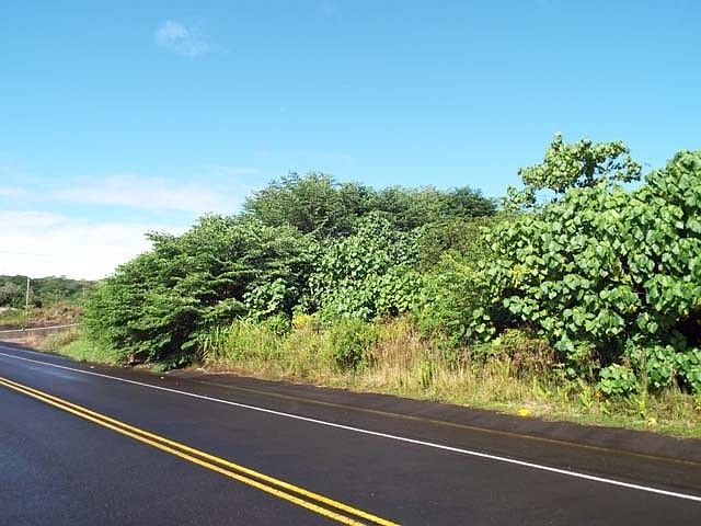 1st image of 181 Meli Lina Pl Lot 452