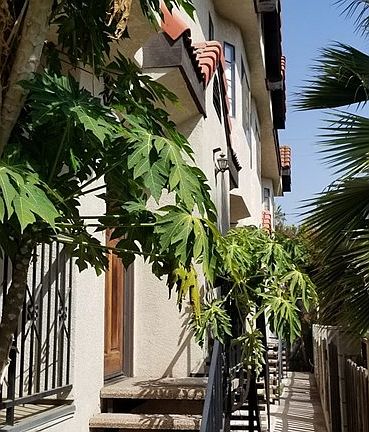 3rd image of 308 La France Ave APT C