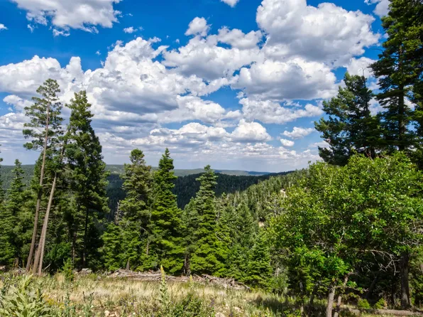 33 Clear Sky Rd, Cloudcroft, NM 88317