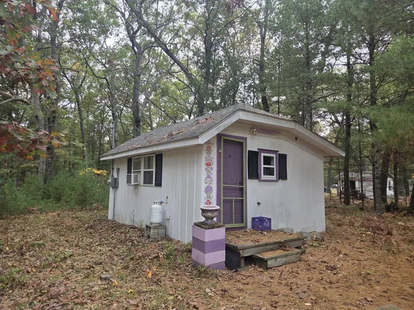 8214 W Oakwood Ave, Baldwin, MI 49304