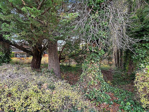 3rd image of 10211 Resthaven Dr