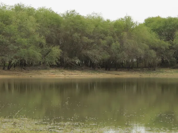 TBD CR 414 Lot #2, McCoy, TX 78113