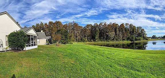 Backyard with Pond