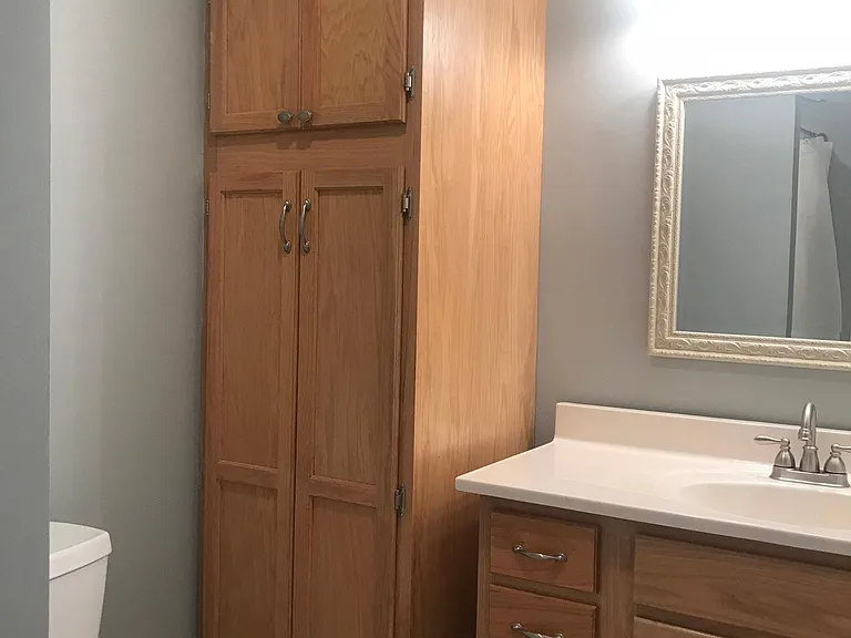 Master bathroom with cabinet
