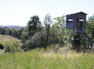 1337 Mount Olive Ridge Rd, Belleville, WV 26133