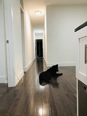 Rented by Lone Peak Realty | media 28