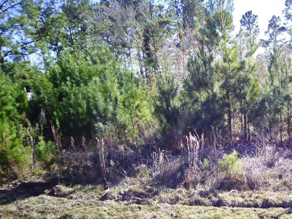 1st image of 50 County Road 3479a