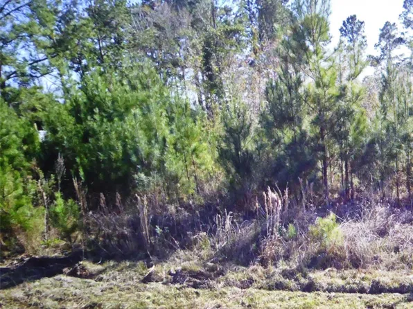 50 County Road 3479a, Cleveland, TX 77327