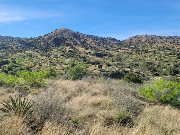 S Little Emigrant Rd #0, Bowie, AZ 85605