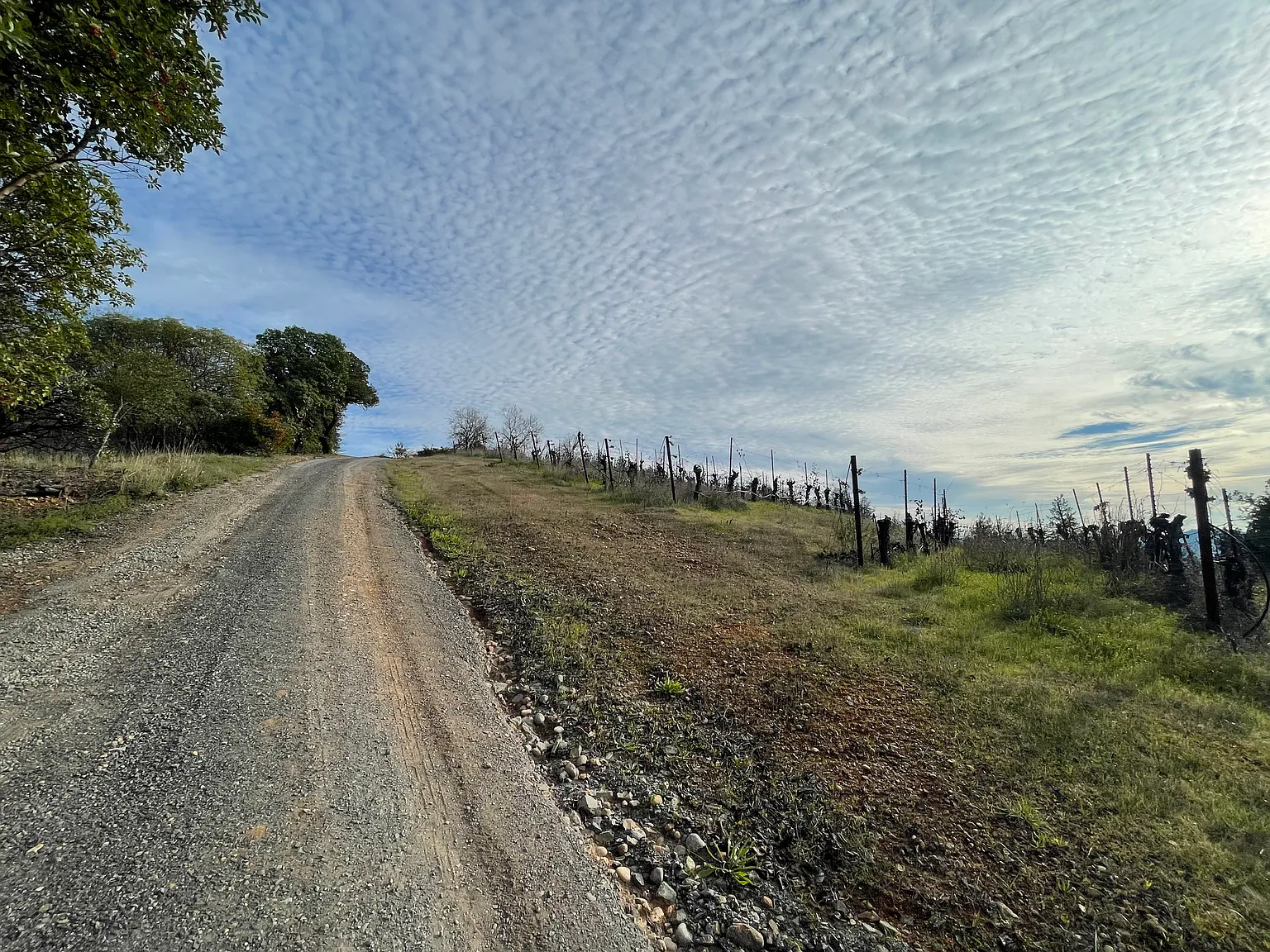 24401 Rich Ranch Rd — Photo 3