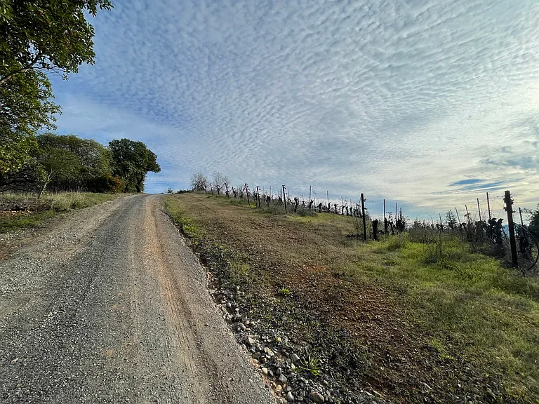 24401 Rich Ranch Rd — Photo 3