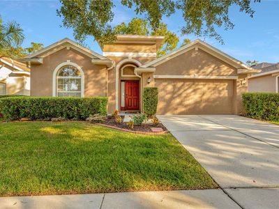 1112 Emerald Hill Way, Valrico, FL, 33594