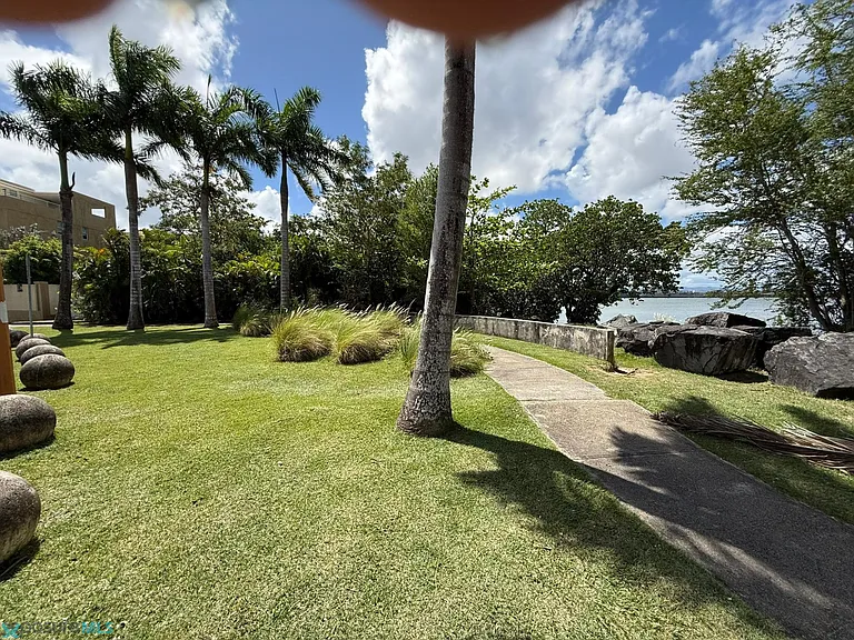 203 Avenida Laguna #1231 — Photo 34