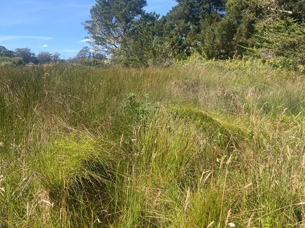 0 Juniper Road, Bolinas, CA 94924