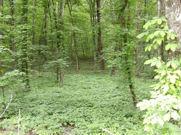 0 W Ridge Rd, Pikeville, TN 37367