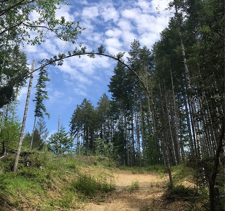 1st image of 18 NE Tahuya Valley Dr