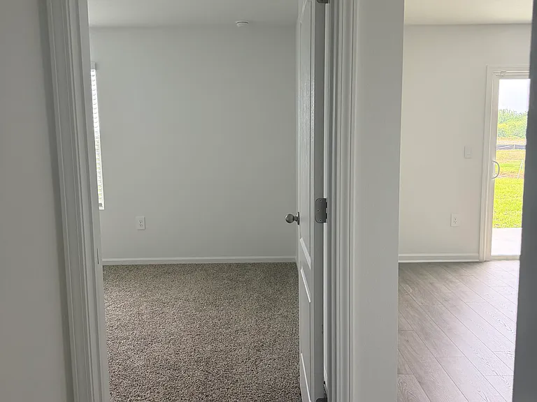 4453 White Ibis Ln — Photo 12