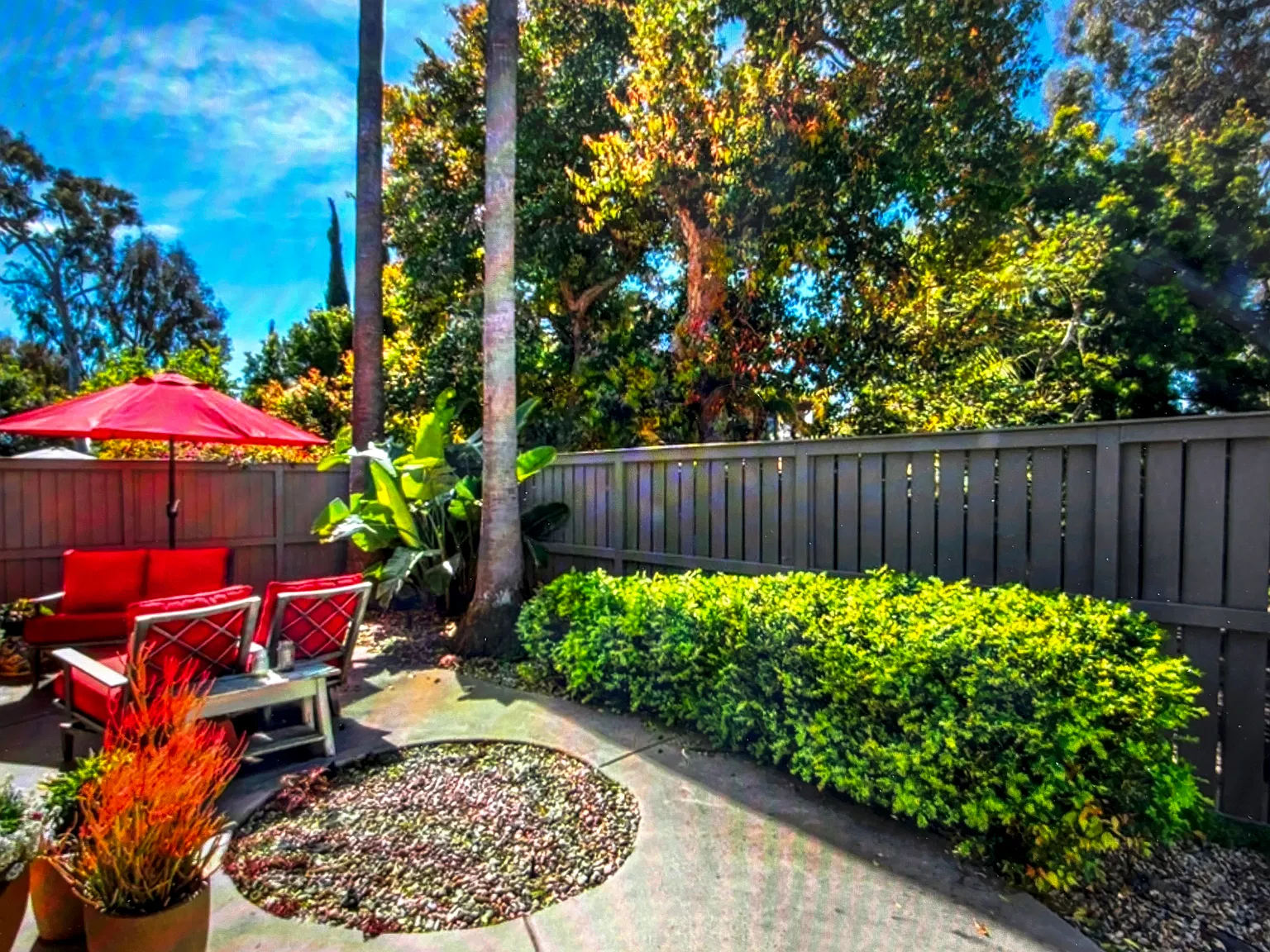 2 bed, 1230 sqft, $4,900 — Photo 3