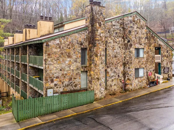 1435 Wiley Oakley Dr APT 161, Gatlinburg, TN 37738