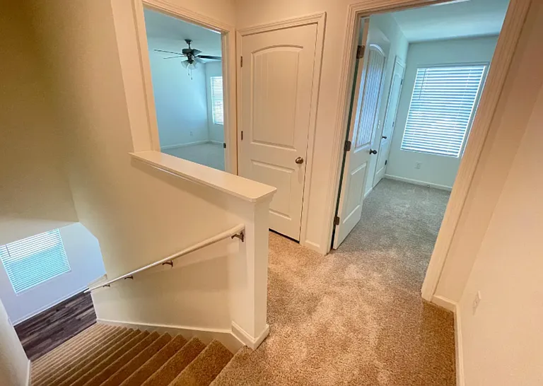 229 Chelsea Park Cir — Photo 16