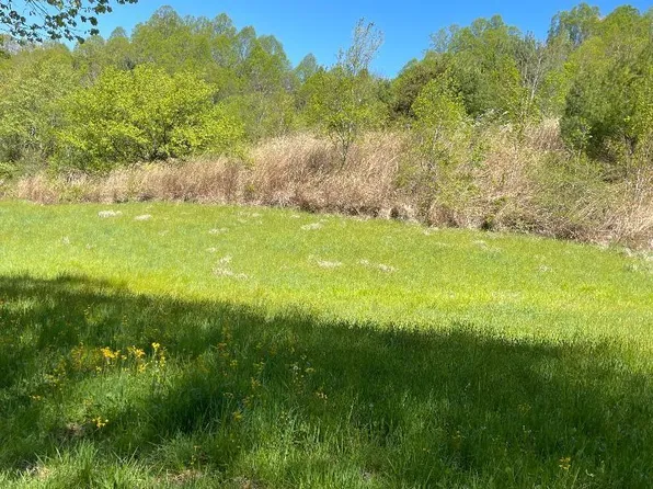 264 E Shook Rd, Marshall, NC 28753