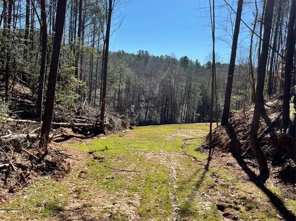 209 Rivercliff Dr, Stony Point, NC 28678