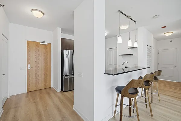 757 N Orleans St #1012 — Photo 3