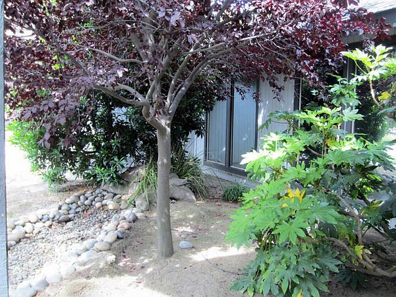 4th image of 2425 E Hillcrest Ct