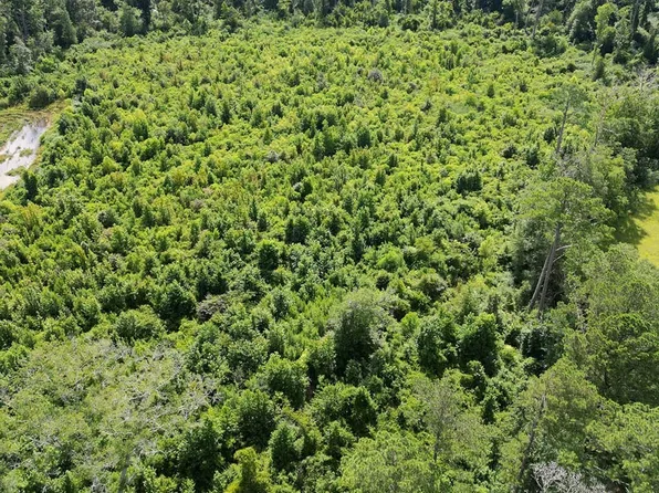 Johns Shilow Rd, Brandon, MS 39042