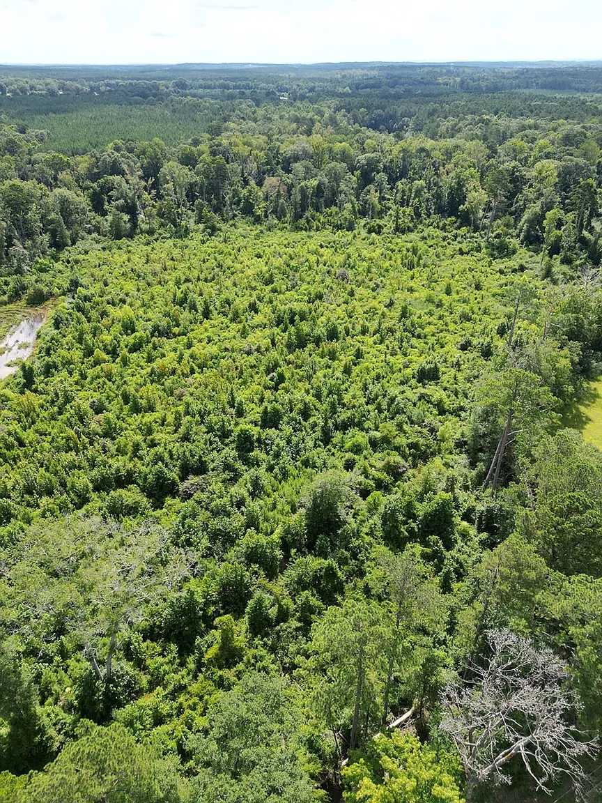 Johns Shilow Rd photo 1