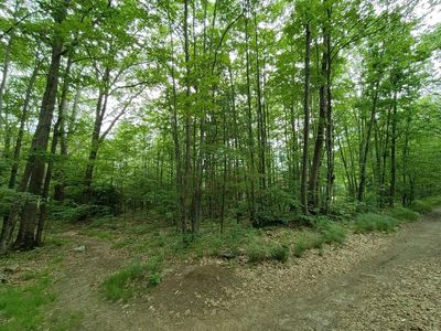 Lot n24-27 Eighth Street, Portland, ME, 04103