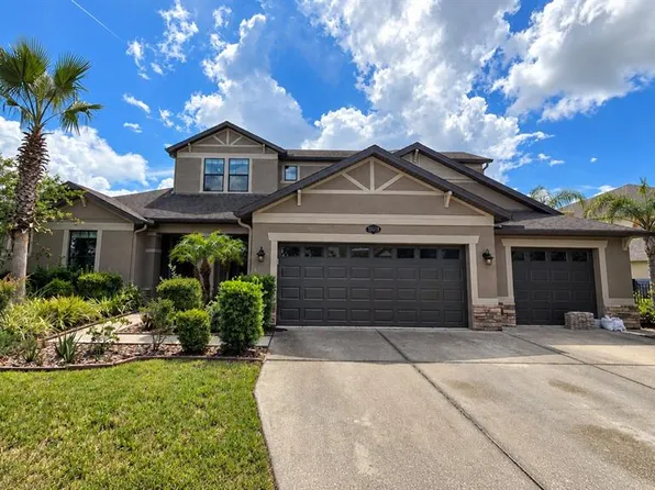 10619 MISTFLOWER LANE, TAMPA, FL 33647