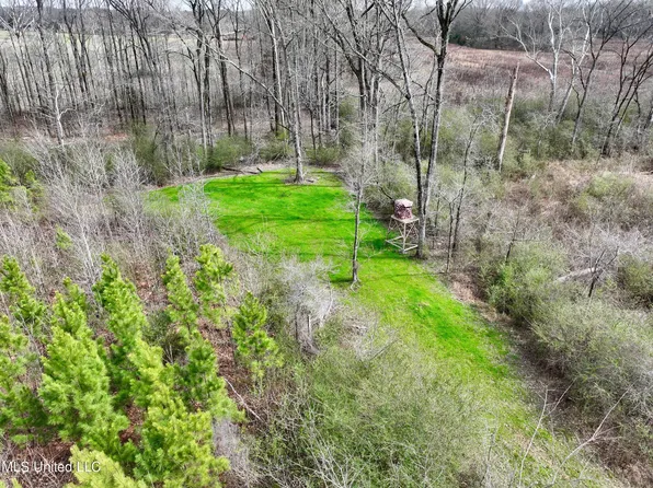 George Floyd Rd, Carrollton, MS 38917